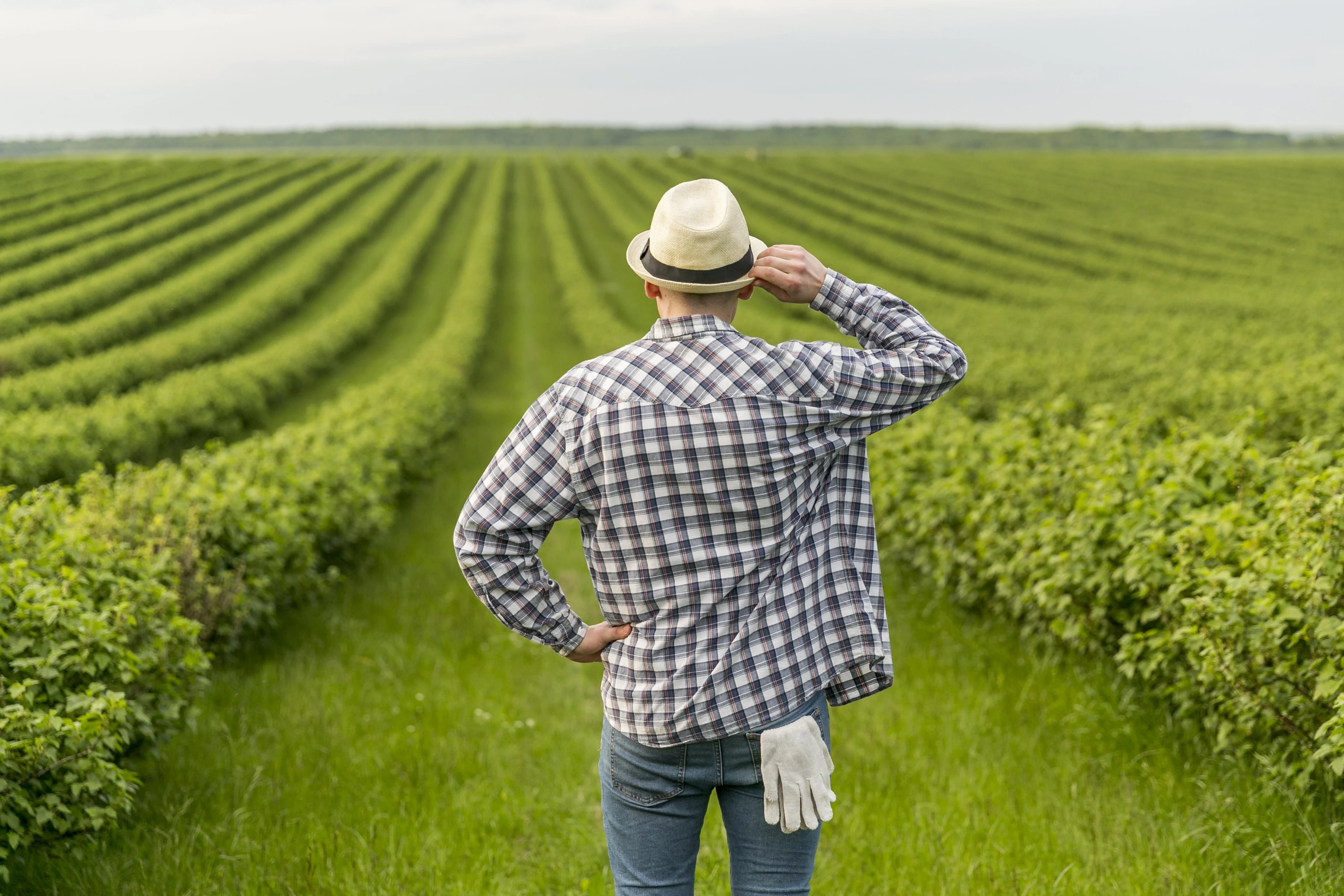 Farm Mission & Story 