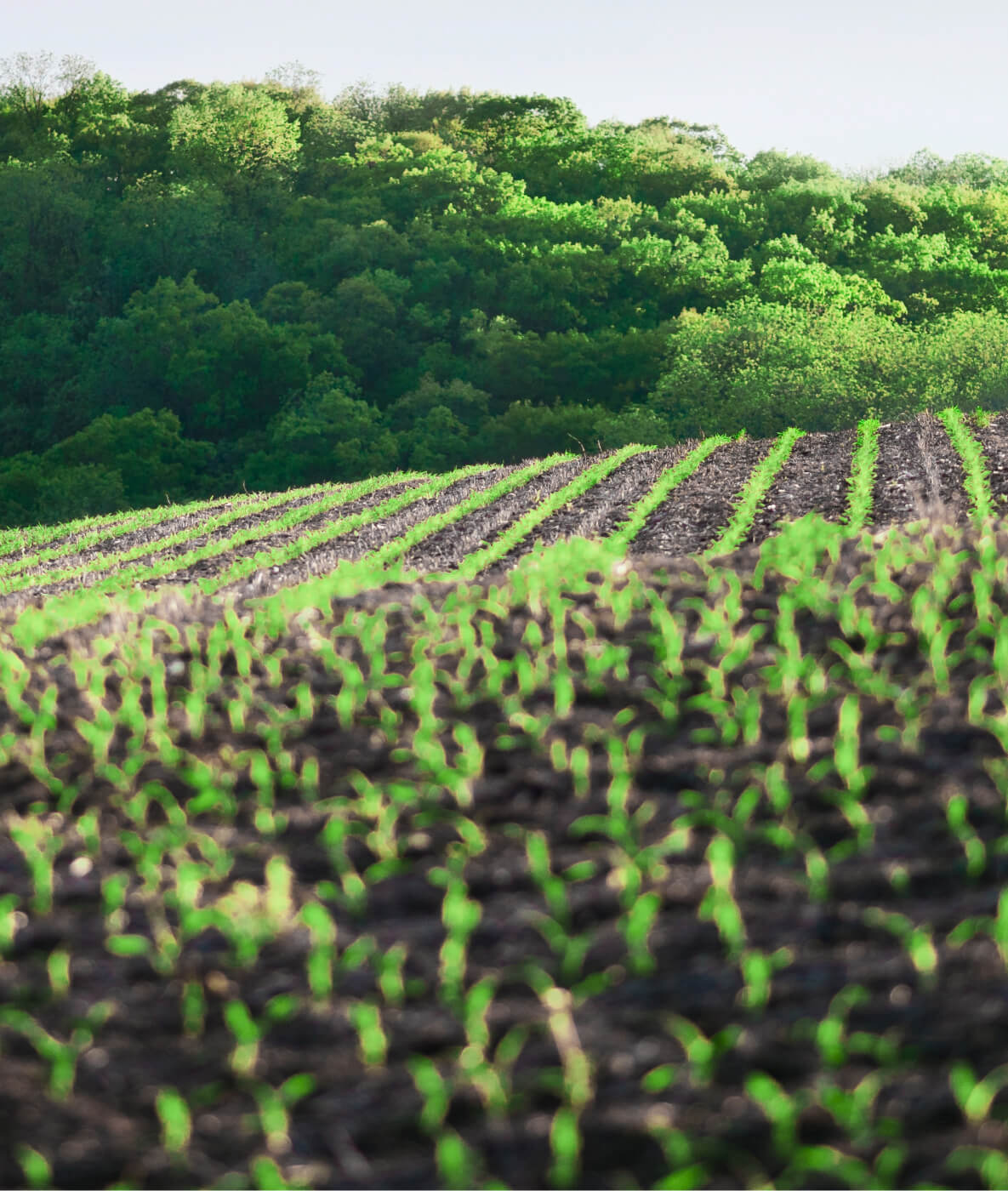 Contact Us - Farm Webflow Template