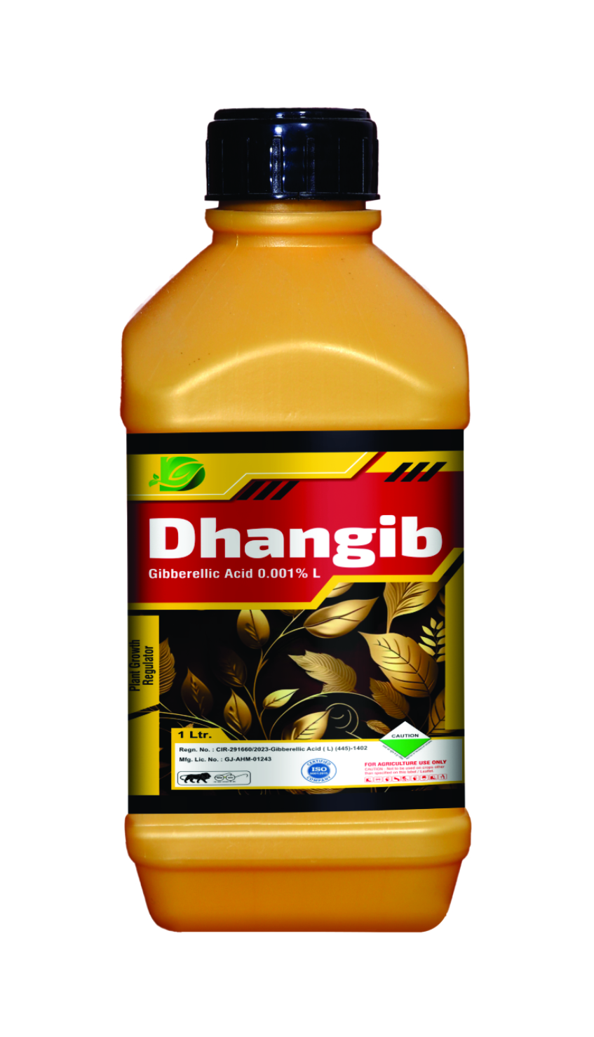 DHANGIB