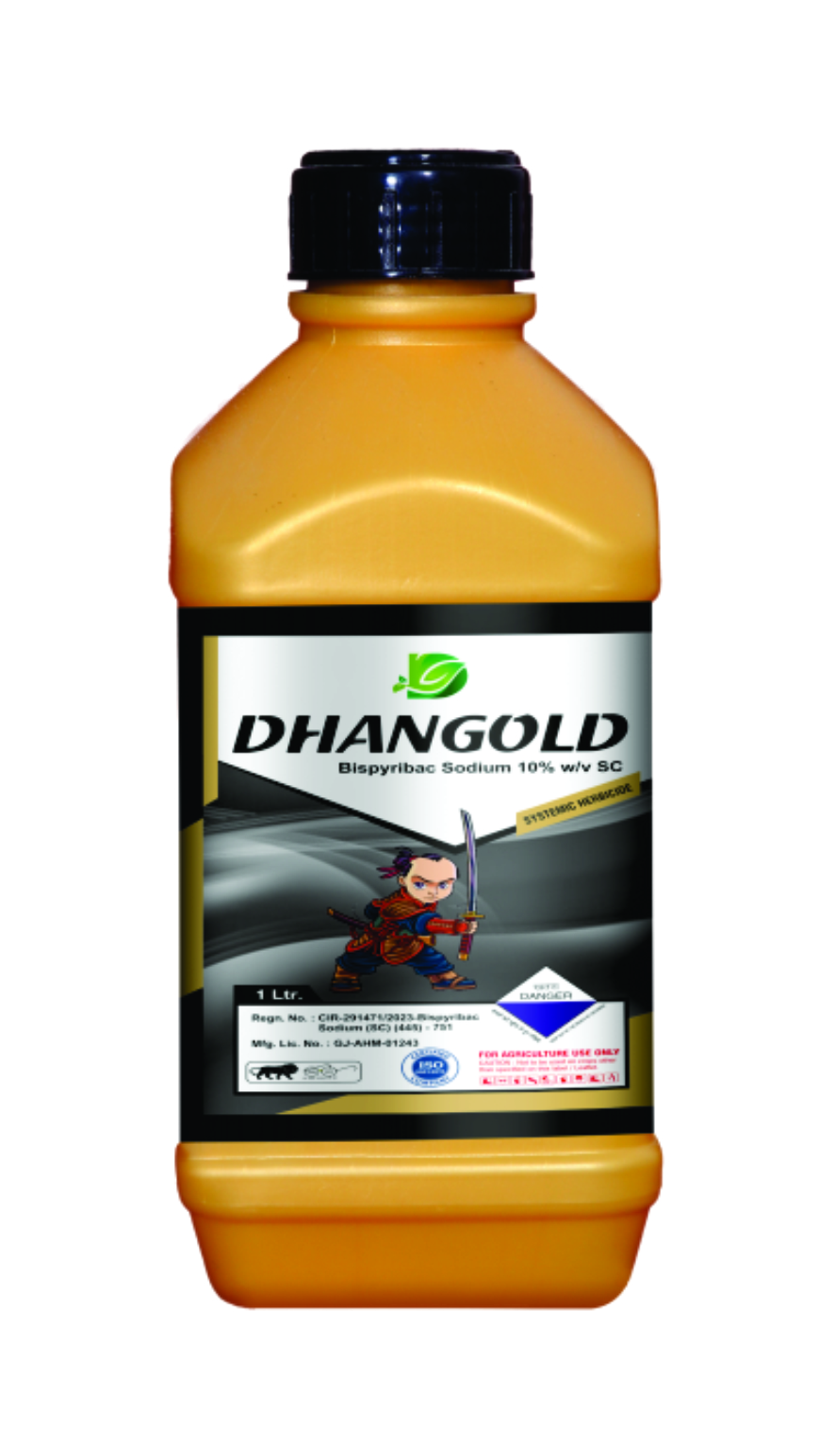 DHAN GOLD