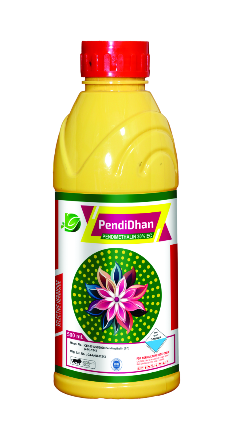 PENDIDIHAN