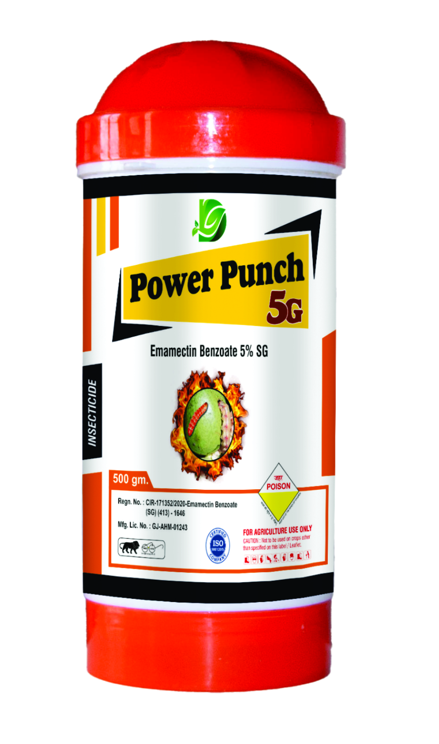 POWER PUNCH 5G